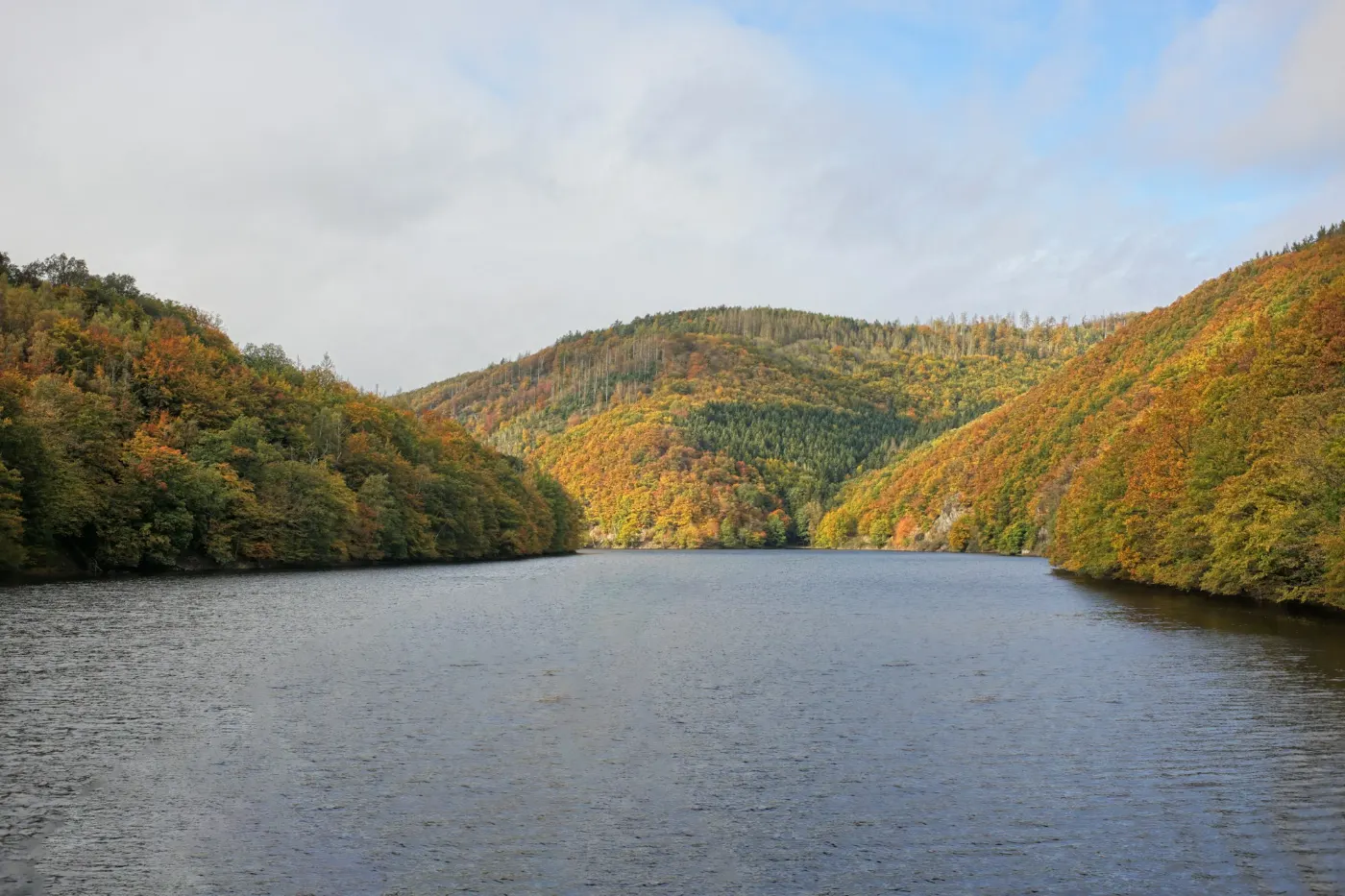 Der Rursee bei Rurberg im Herbst, bewaldete Hänge in Gelb und Grün.